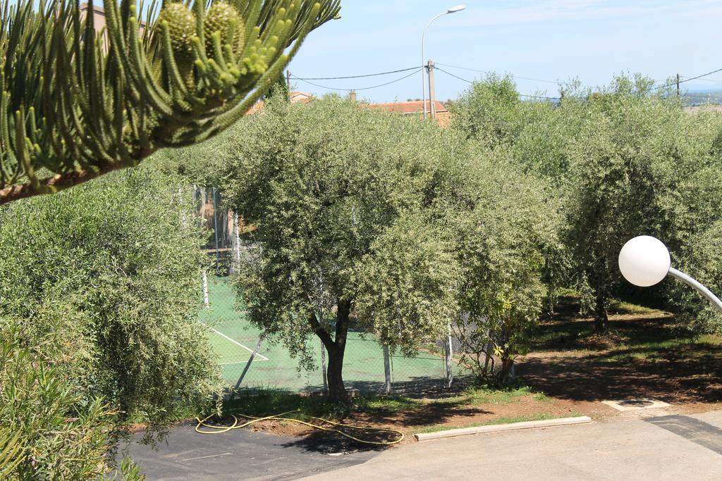 Chambres D'Hotes Le Clos Des Oliviers Sorbo-Ocagnano 外观 照片