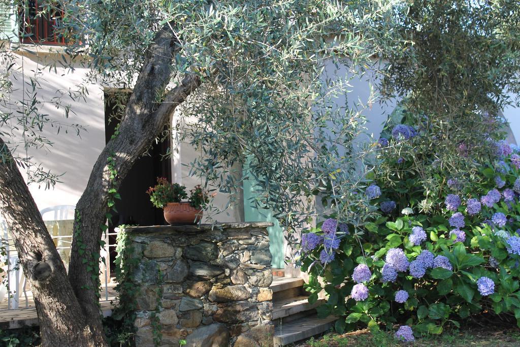 Chambres D'Hotes Le Clos Des Oliviers Sorbo-Ocagnano 客房 照片