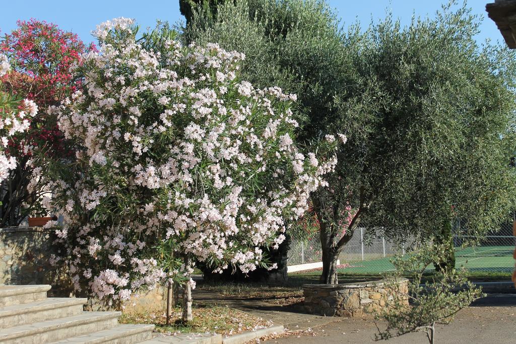 Chambres D'Hotes Le Clos Des Oliviers Sorbo-Ocagnano 外观 照片