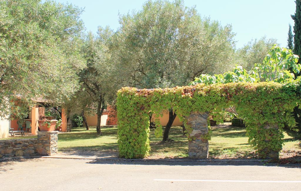 Chambres D'Hotes Le Clos Des Oliviers Sorbo-Ocagnano 外观 照片