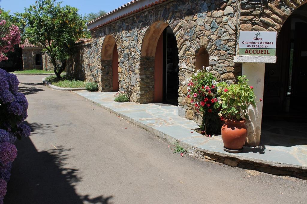 Chambres D'Hotes Le Clos Des Oliviers Sorbo-Ocagnano 外观 照片